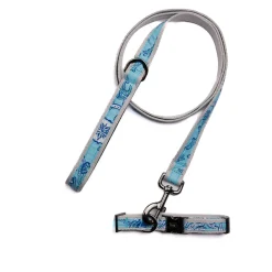 Fetch Pet Collar and Leash Set