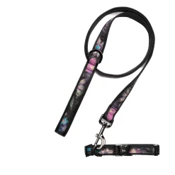 Fetch Pet Collar and Leash Set