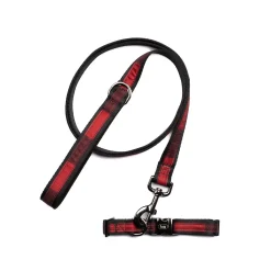 Fetch Pet Collar and Leash Set