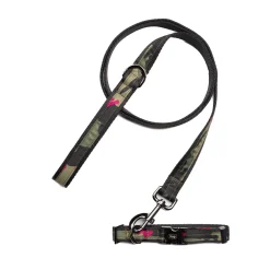 Fetch Pet Collar and Leash Set