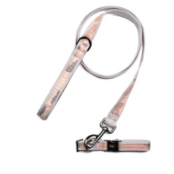 Fetch Pet Collar and Leash Set