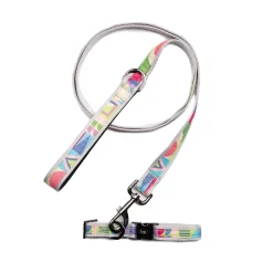Fetch Pet Collar and Leash Set
