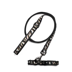 Fetch Pet Collar and Leash Set