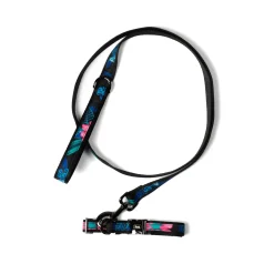 Fetch Pet Collar and Leash Set