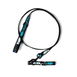 Fetch Pet Collar and Leash Set