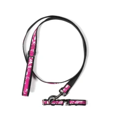 Fetch Pet Collar and Leash Set