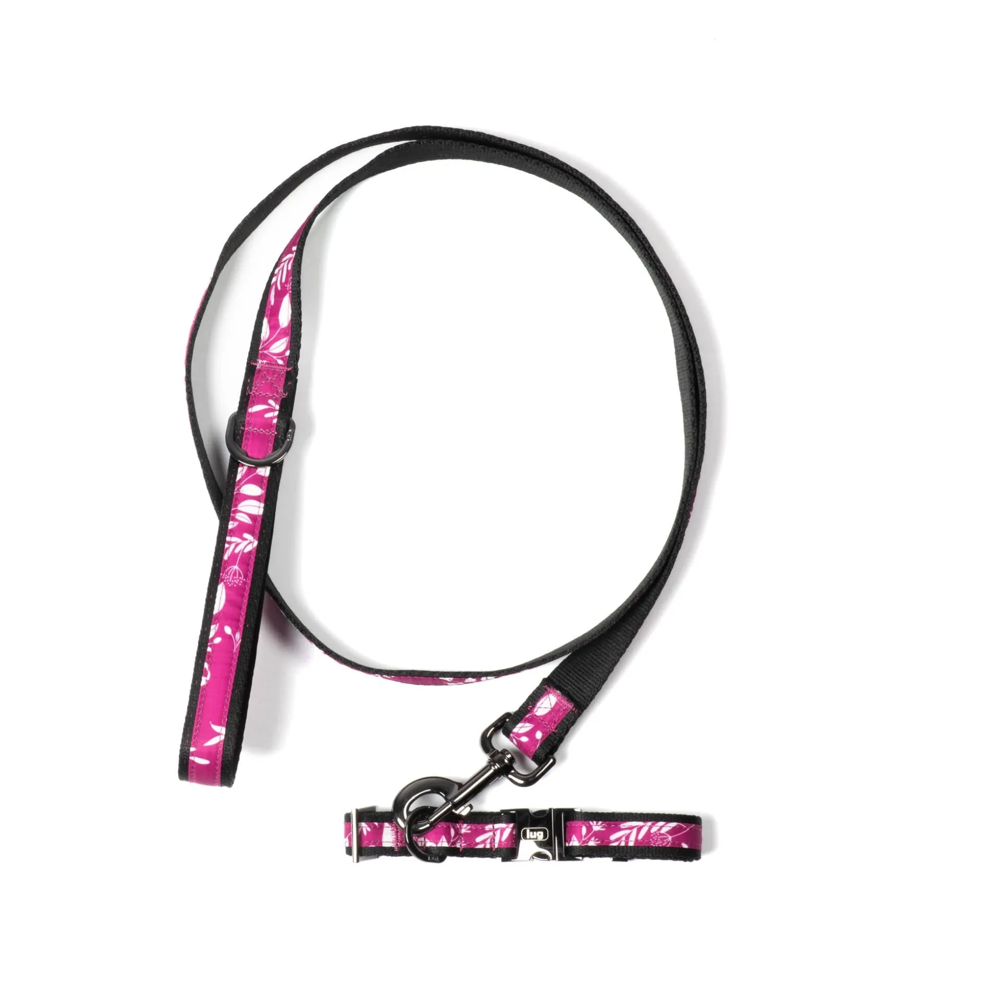 Fetch Pet Collar and Leash Set