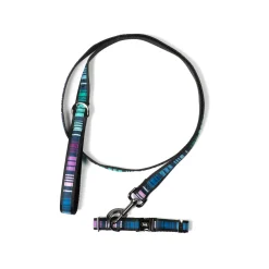 Fetch Pet Collar and Leash Set