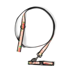 Fetch Pet Collar and Leash Set
