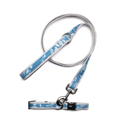 Fetch Pet Collar and Leash Set