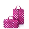Flash SE & Tuck Travel Set