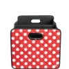 Flatbed 2 Collapsible Multi-Purpose Organizer